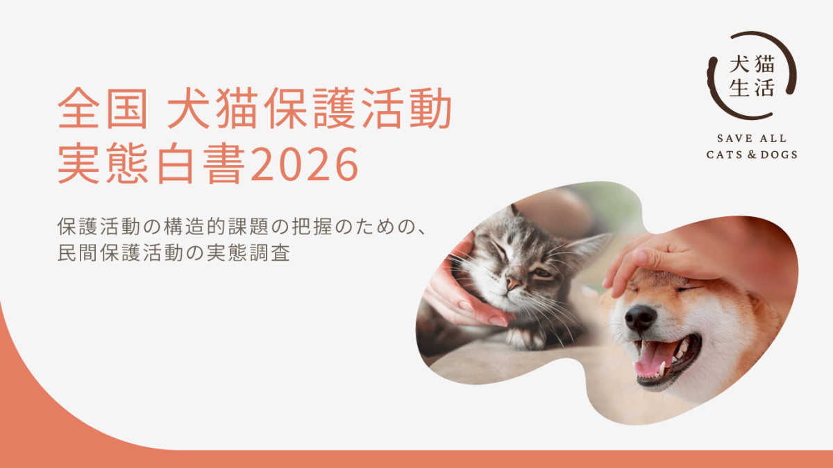「全国 犬猫保護活動 実態白書2026」を公開