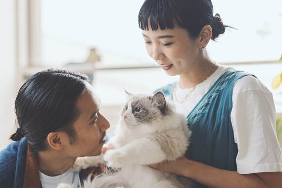 日本で初めて特許製法「天然シルク」を使った、猫用「天然シルクの腎ケアサプリメント」を販売開始