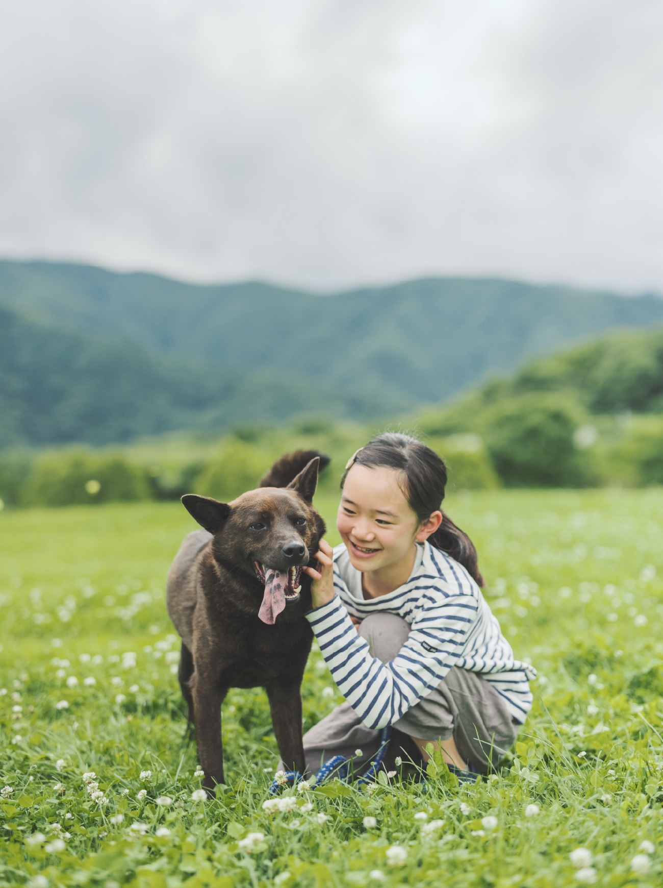犬猫生活の社会貢献活動とは？