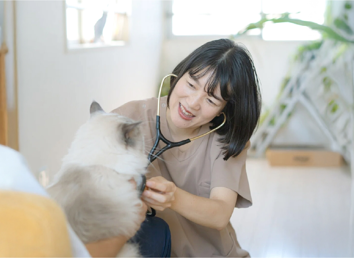 小島 麻里（こじま まり）