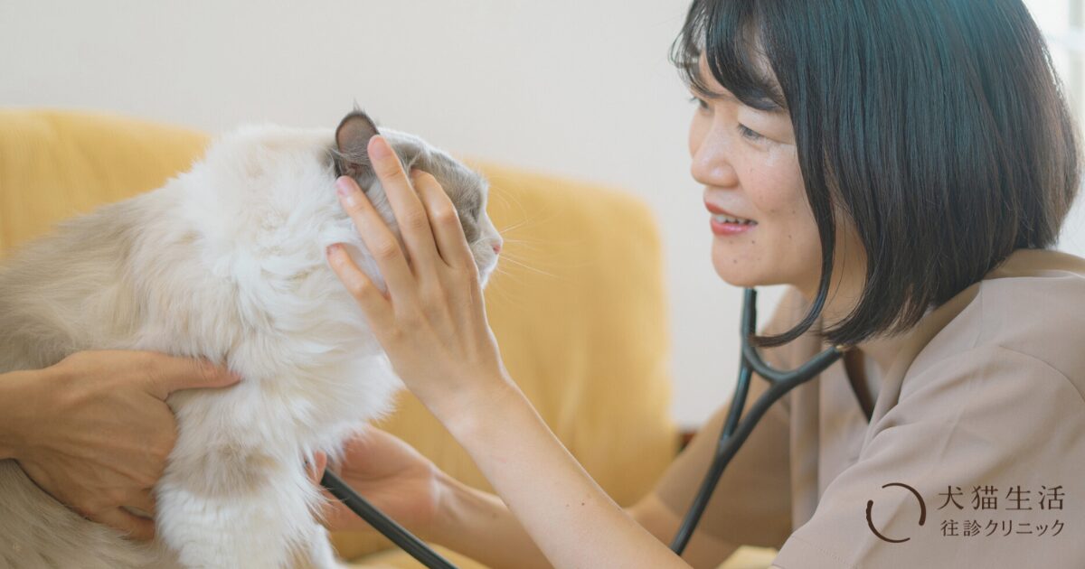 犬猫生活往診クリニックの、往診の様子